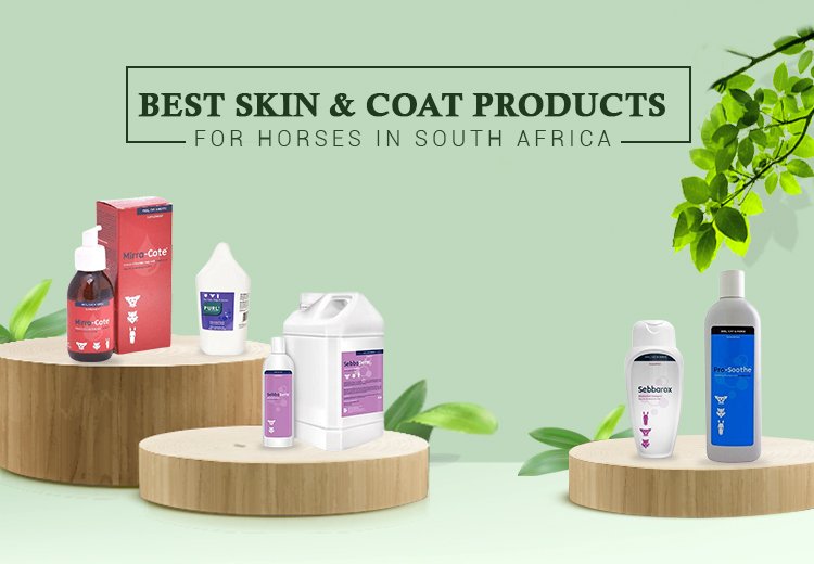 Top-rated Skin and Coat Products for Horses in South Africa:
